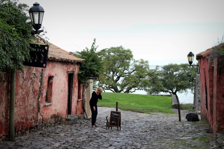 2655 Colonia Uruguay