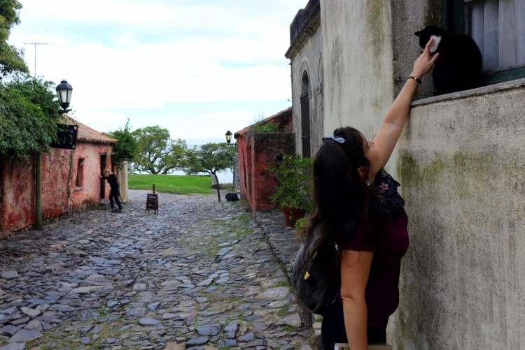 2656 Colonia Uruguay