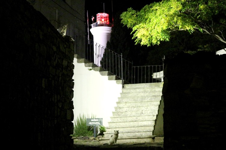 2662 Colonia Uruguay