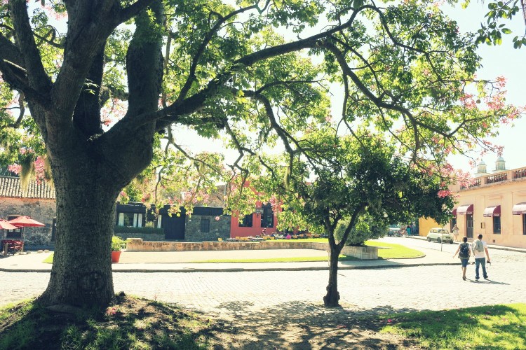 2671 Colonia Uruguay