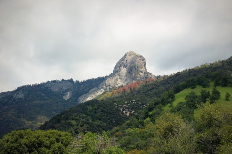 2730 sequoia national park california