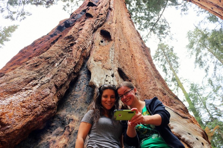 2734 sequoia national park california