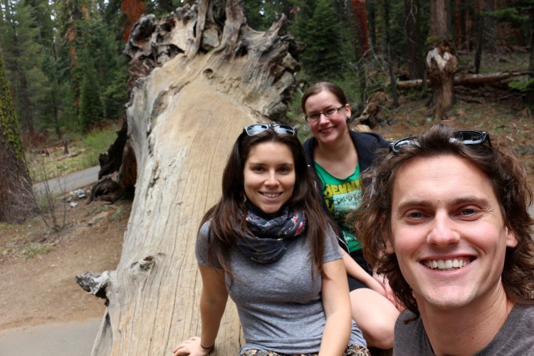 2736 sequoia national park california