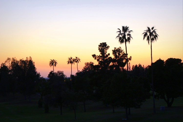 2770 Teophan wedding Bakersfield California