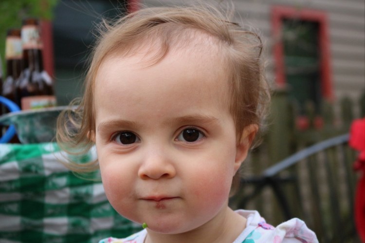 2793 Madison Wisconsin