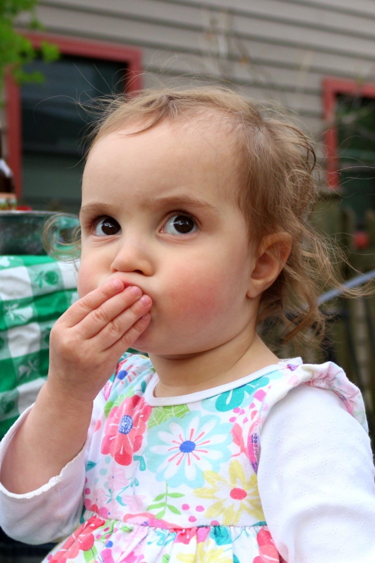 2795 Madison Wisconsin