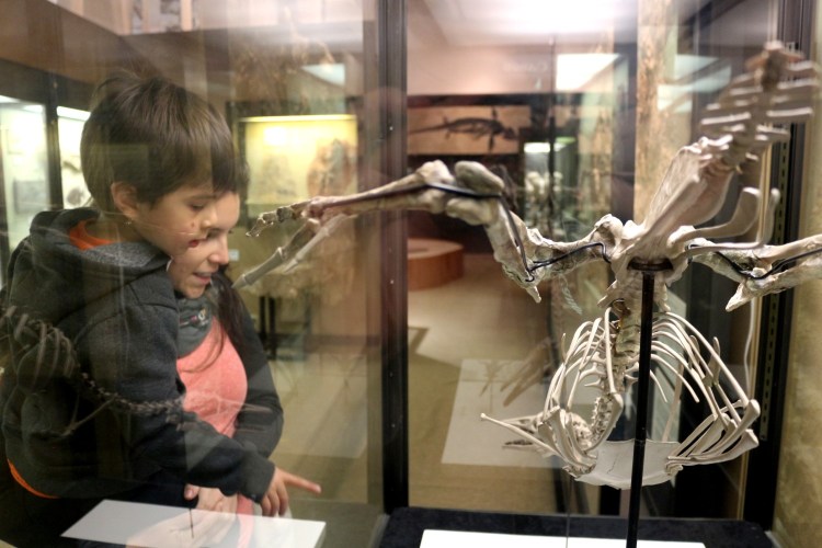 2800 Madison Wisconsin Geology Museum