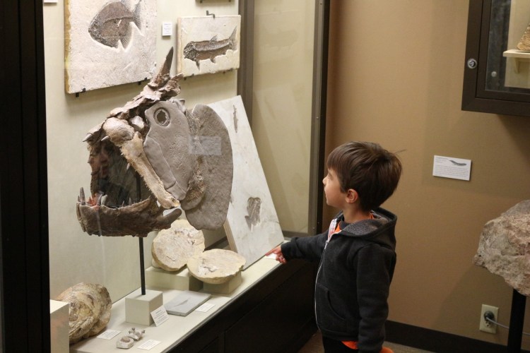 2801 Madison Wisconsin Geology Museum