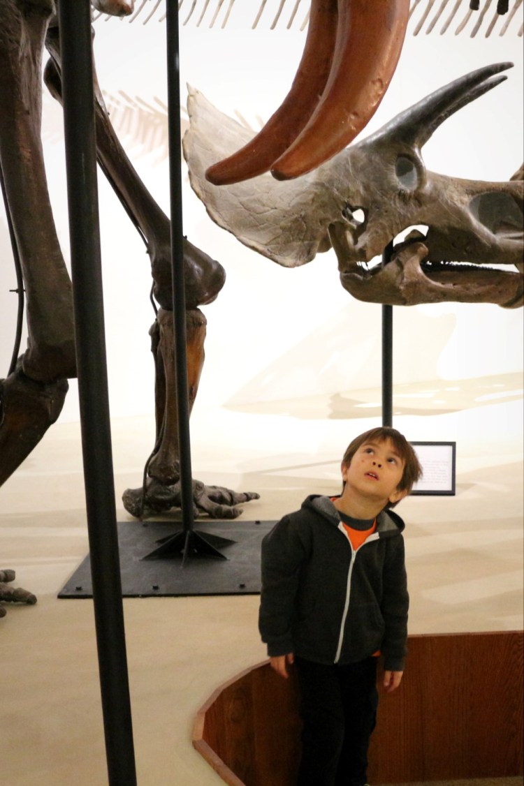 2804 Madison Wisconsin Geology Museum