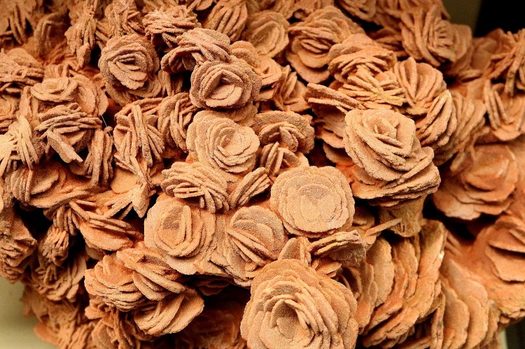 2807 Madison Wisconsin Geology Museum